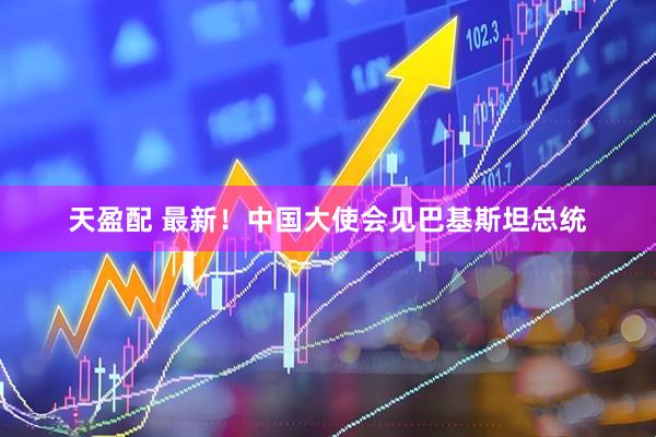天盈配 最新！中国大使会见巴基斯坦总统