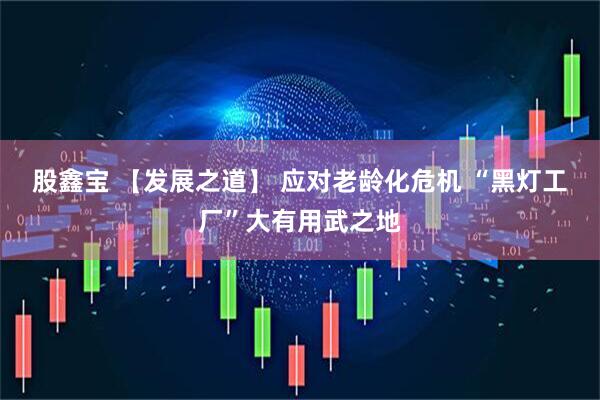 股鑫宝 【发展之道】 应对老龄化危机 “黑灯工厂”大有用武之地