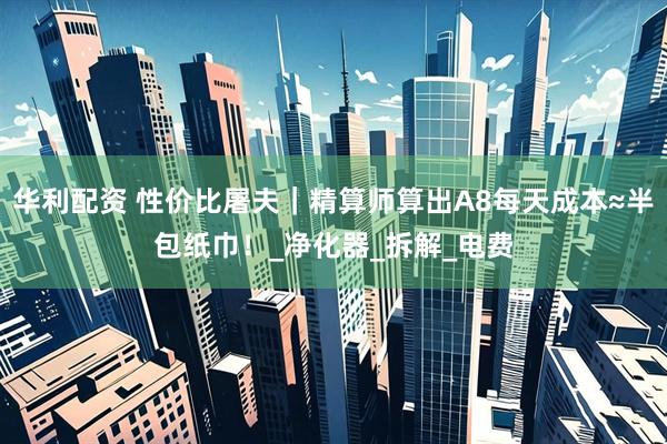 华利配资 性价比屠夫｜精算师算出A8每天成本≈半包纸巾！_净化器_拆解_电费