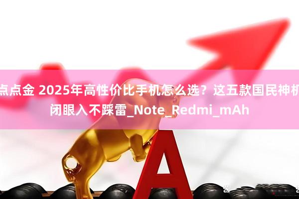 点点金 2025年高性价比手机怎么选？这五款国民神机闭眼入不踩雷_Note_Redmi_mAh