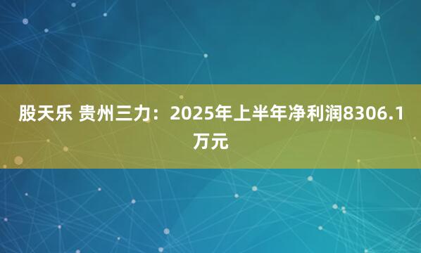 股天乐 贵州三力：2025年上半年净利润8306.1万元