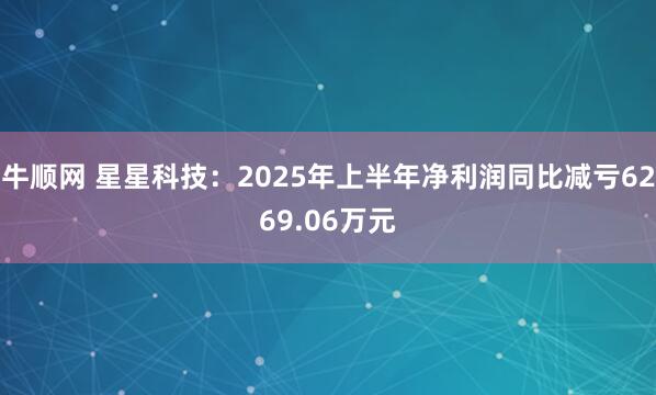 牛顺网 星星科技：2025年上半年净利润同比减亏6269.06万元