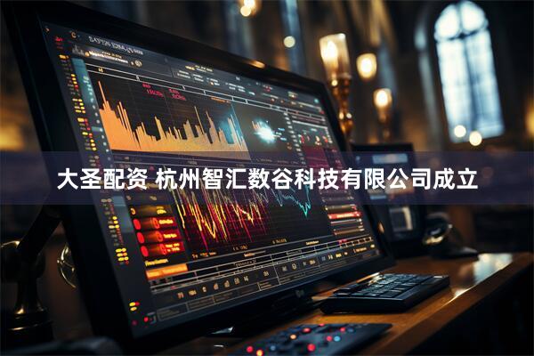 大圣配资 杭州智汇数谷科技有限公司成立