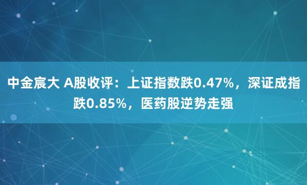 中金宸大 A股收评：上证指数跌0.47%，深证成指跌0.85%，医药股逆势走强